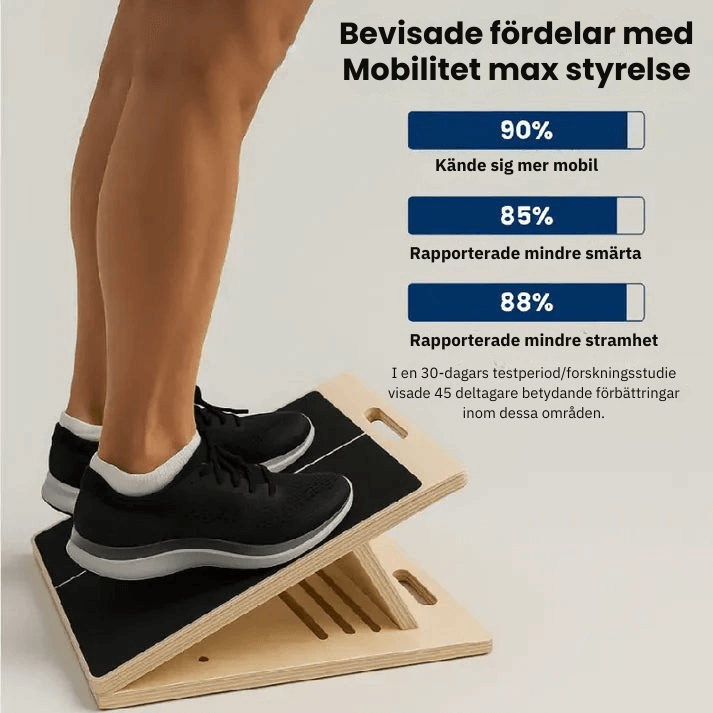 Mobilitet max styrelse